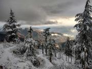 Top Kalpa