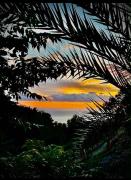 Top Nerja