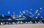 Top Ventspils Top Ventspils