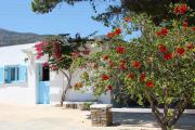 Top Platis Yialos Sifnos Top Platis Yialos Sifnos