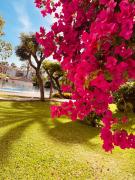 Top Estepona