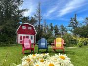Top Rocky Harbour