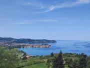 Top Izola