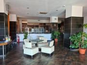 Top Vercelli
