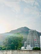 Top Tiruvannāmalai