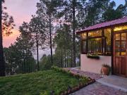 Top Pauri