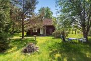 Top Gullaskruv