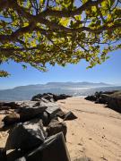 Top Ilhabela