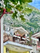 Top Kotor