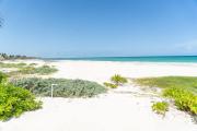 Top Puerto Morelos