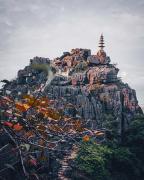 Top Xuân Sơn