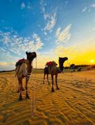 Top Jaisalmer