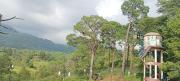 Top Pālampur