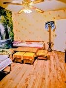 Top Dimitrovgrad