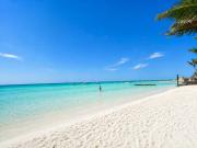 Top Isla Holbox