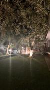 Top San Felice Circeo