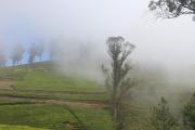 Top Kotagiri