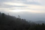 Top Kotagiri