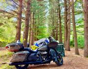 BYO Tent or RV to Camp Squid