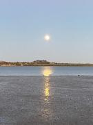 Auckland Serenity