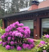 Saules House Saulkrasti