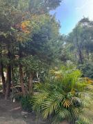 Top Campo Magro