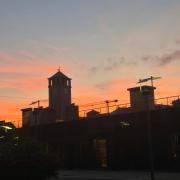 Top Savona