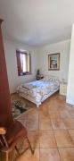 Top Arpino