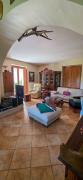 Top Arpino