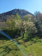 Top Arpino