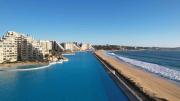 Top Algarrobo