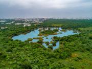 Top Bhavnagar