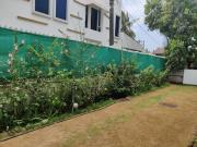 Top Calangute