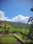 Top Munduk