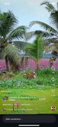 Top Puthupalli