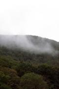Top Shandaken