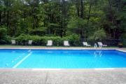 Top Shandaken