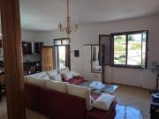 Casa Mimoza