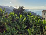 Top Câmara de Lobos