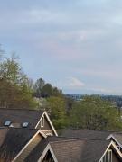 Top Seattle