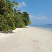 Top Pulau Batanta