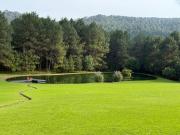 Rancho Niebla y Pinos