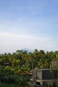 Top Ubud
