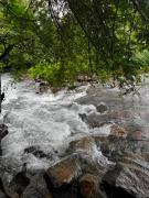 Top Padinjarathara