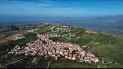 Top Grisi