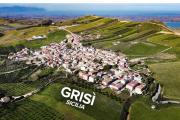 Top Grisi