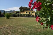 Top Pescia