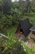Top Tetebatu
