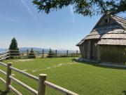 Top Stahovica