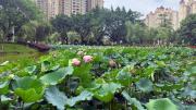Top Shaoguan
